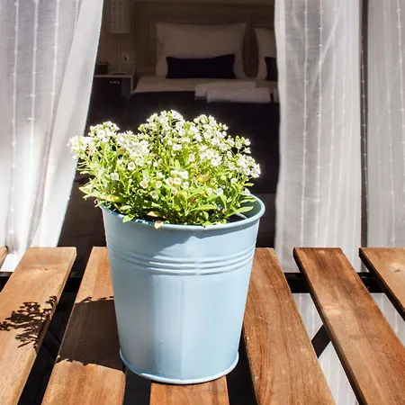 Krinis Διαμέρισμα